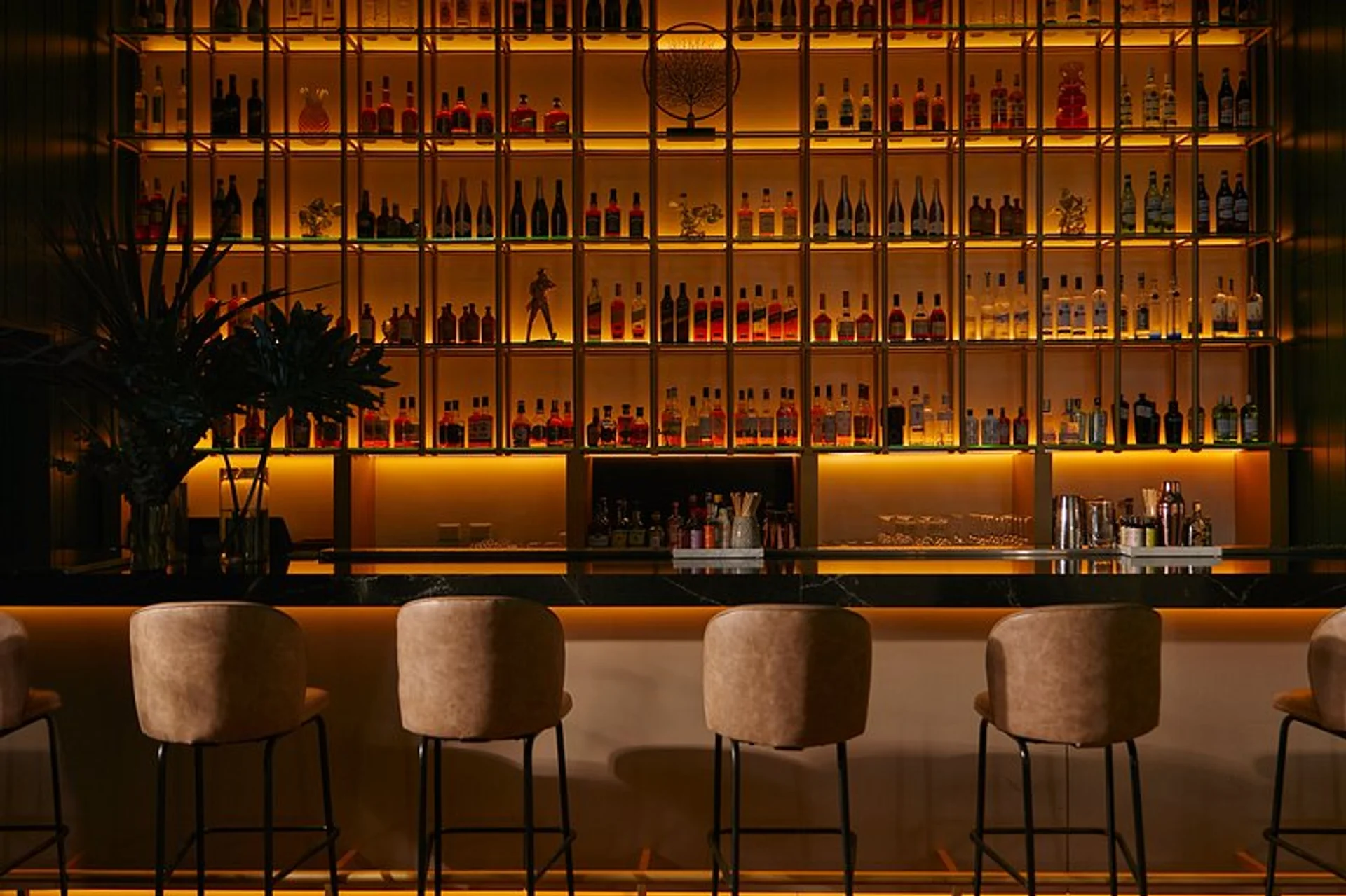Felicia Bar