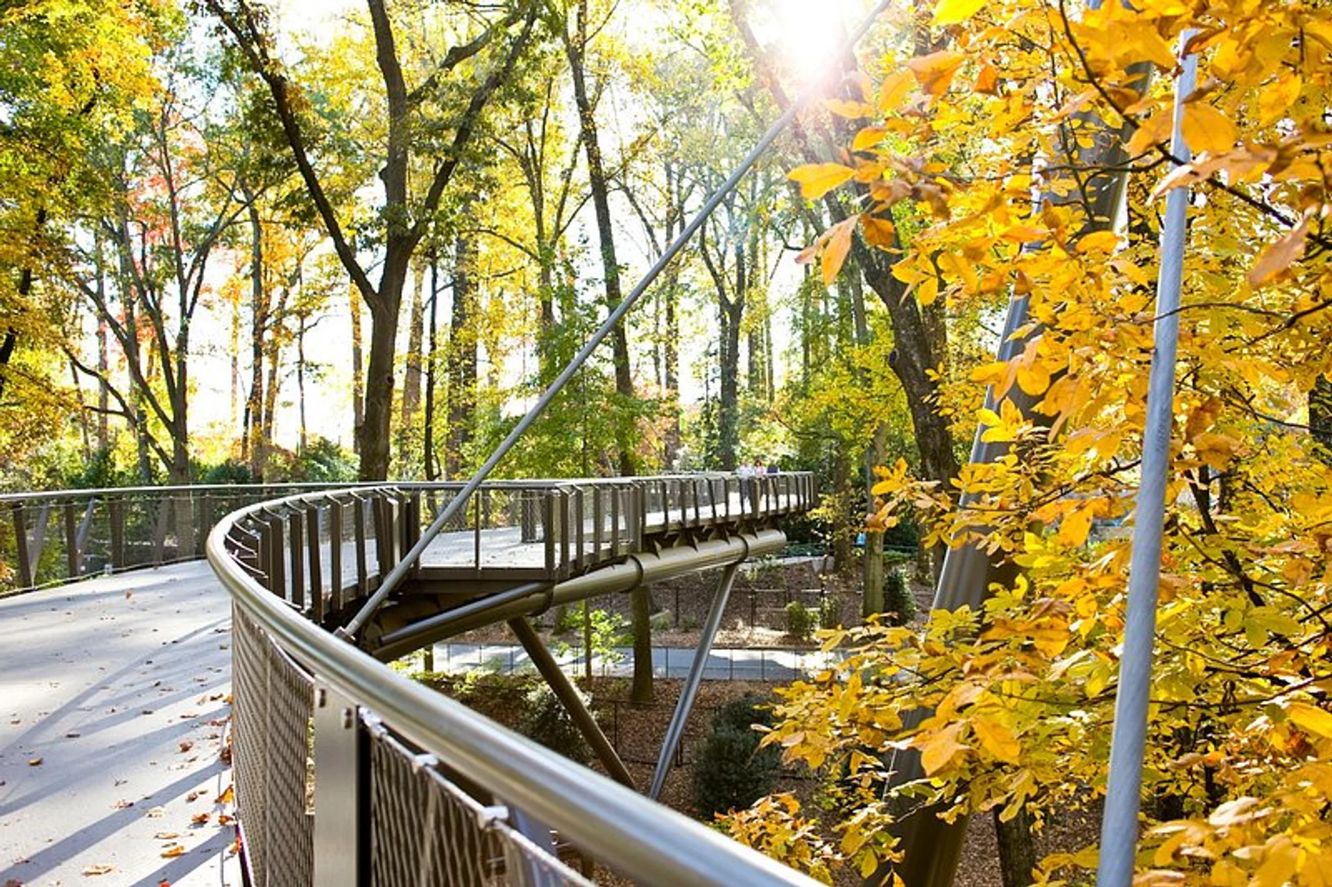 Atlanta Botanical Garden