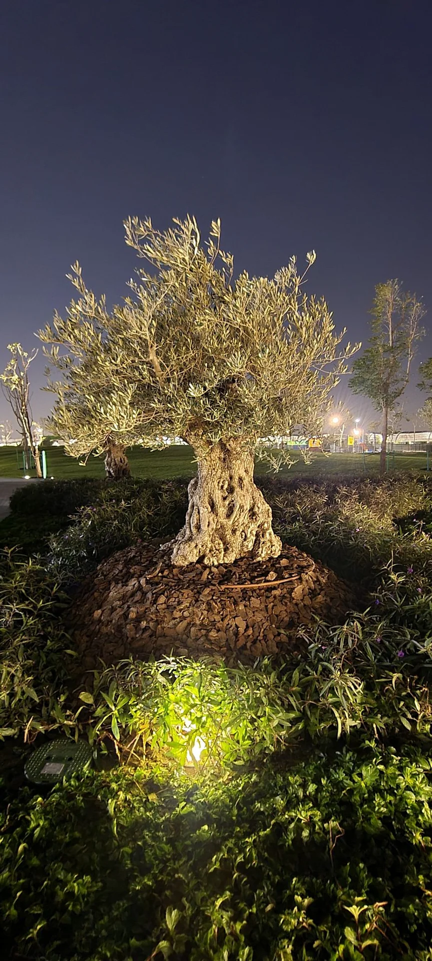 Al Gharrafa Family Park