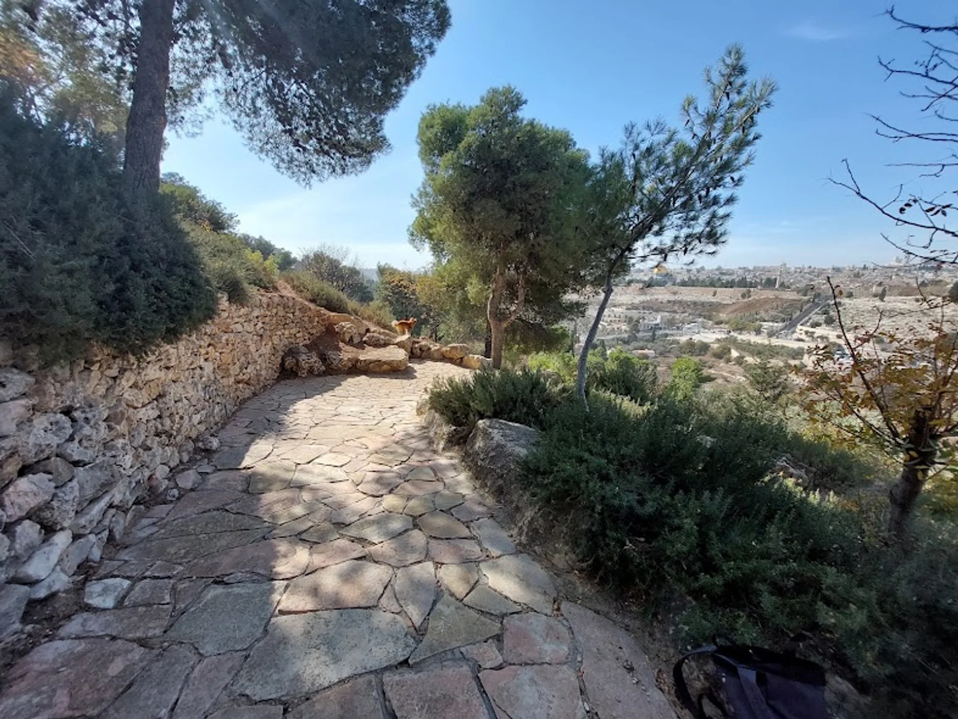 Orson Hyde Memorial Garden