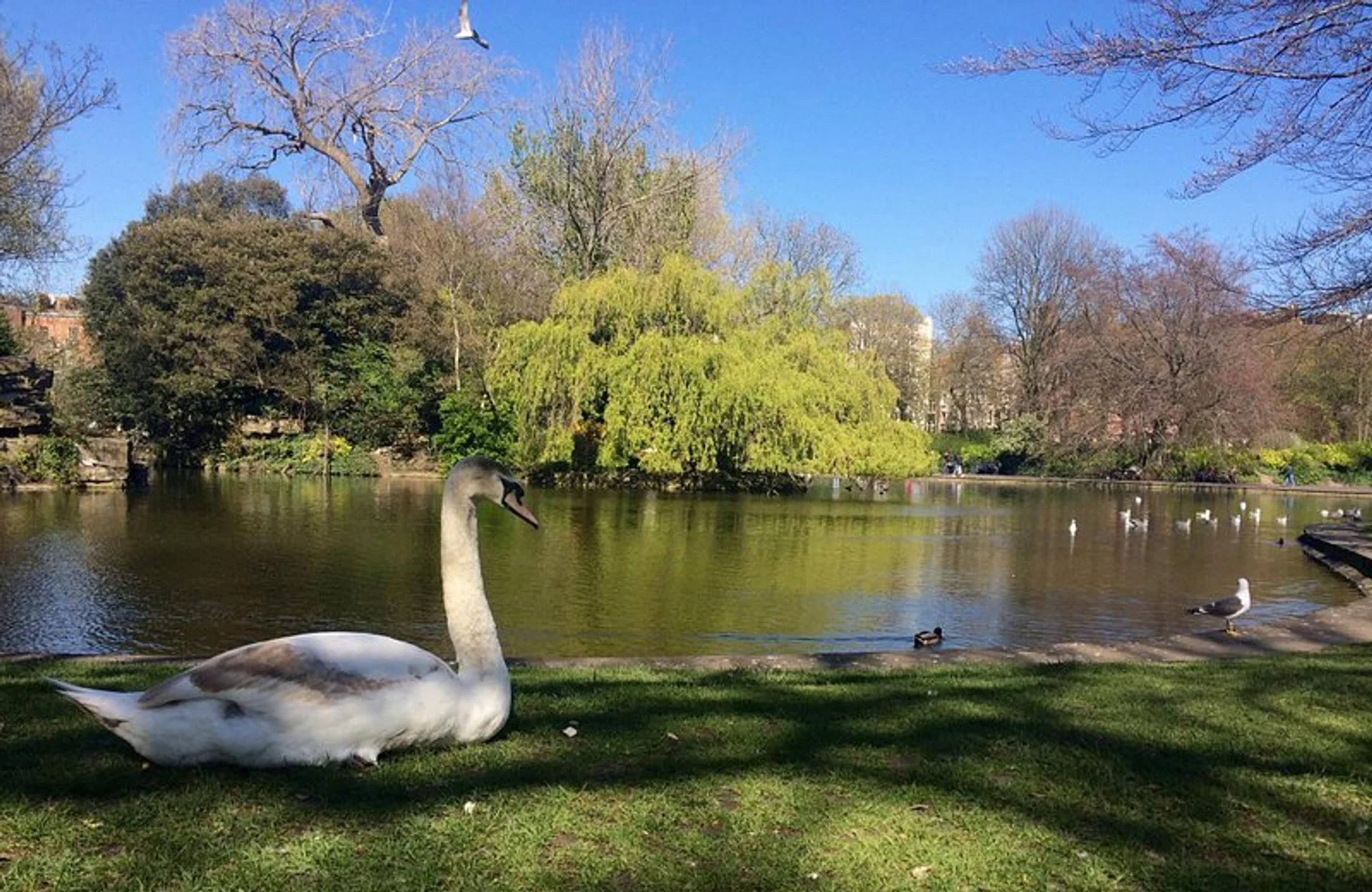 St Stephen's Green