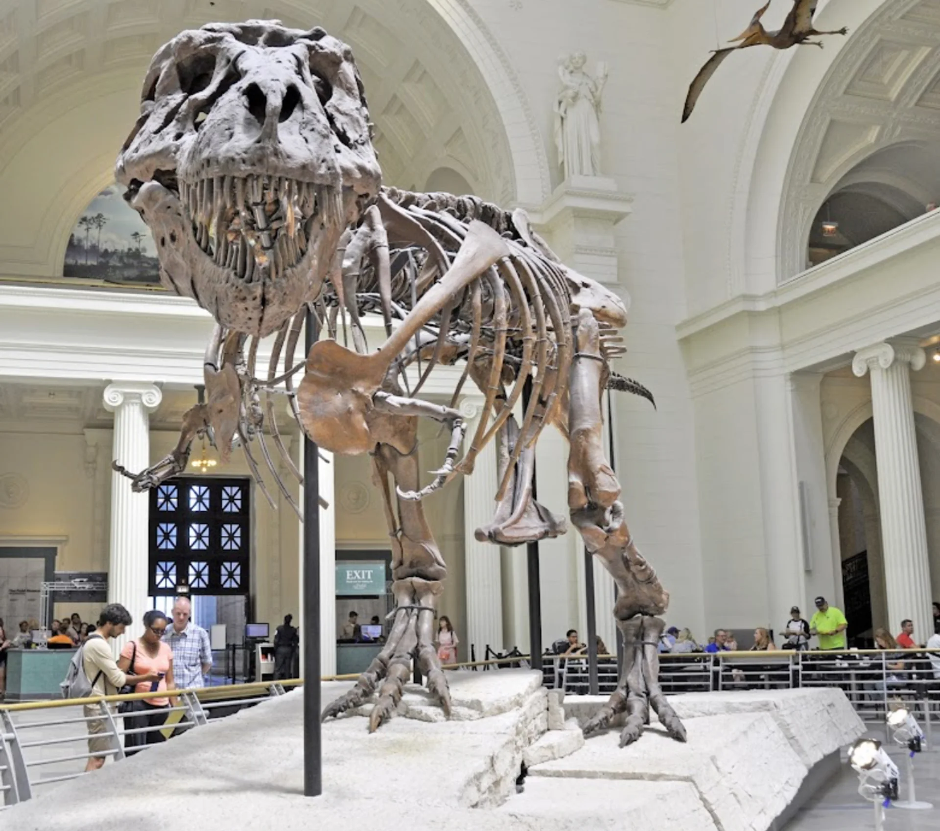 Field Museum