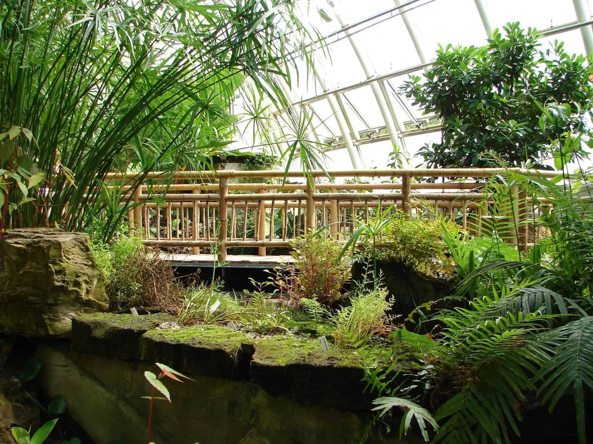 The Botanical Garden