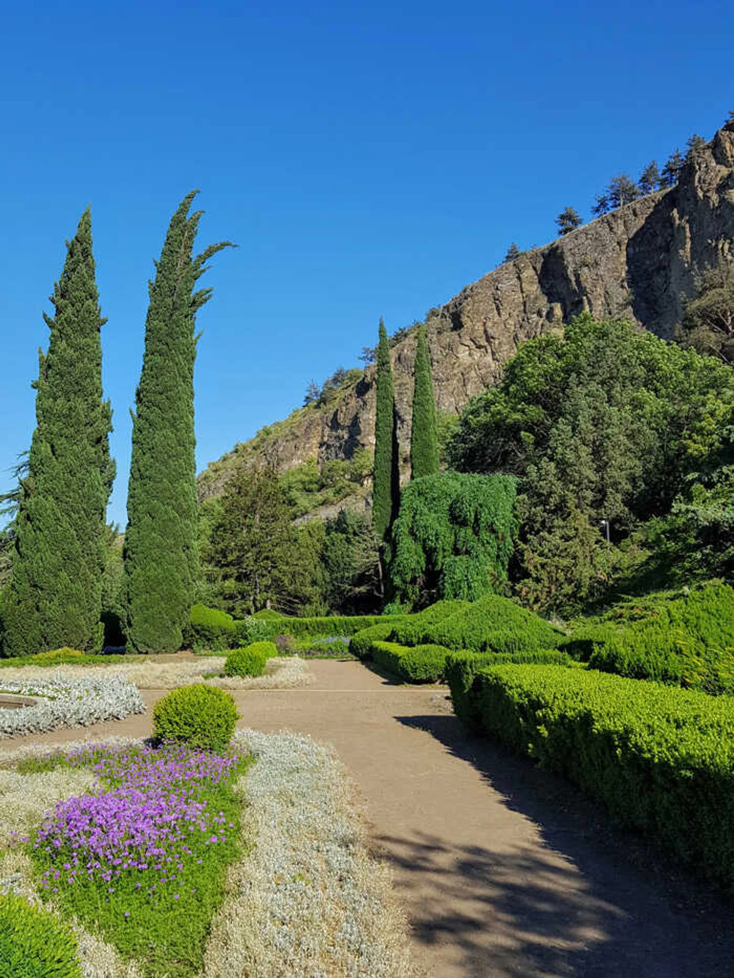 The Botanical Garden