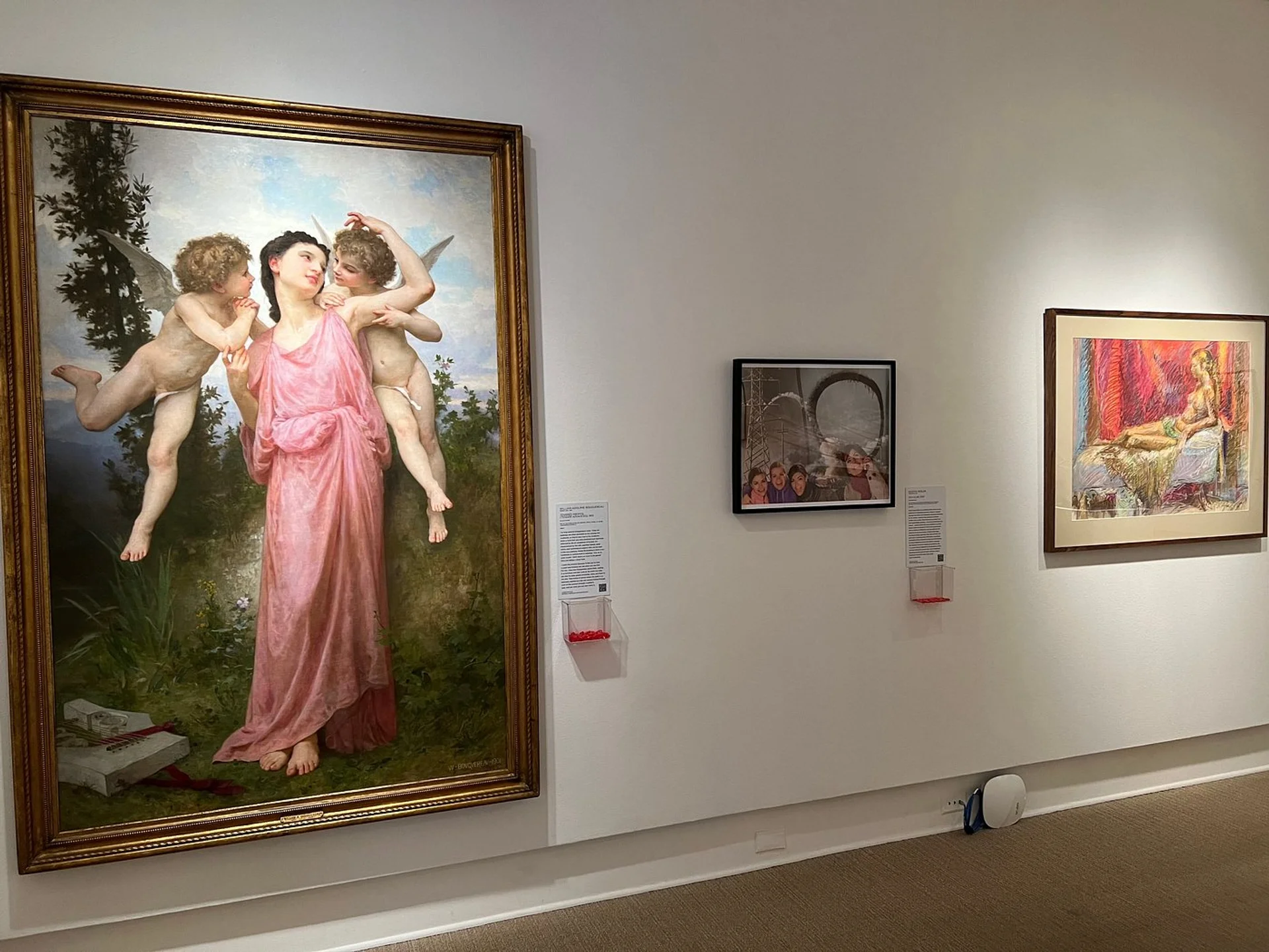 Rollins Museum of Art