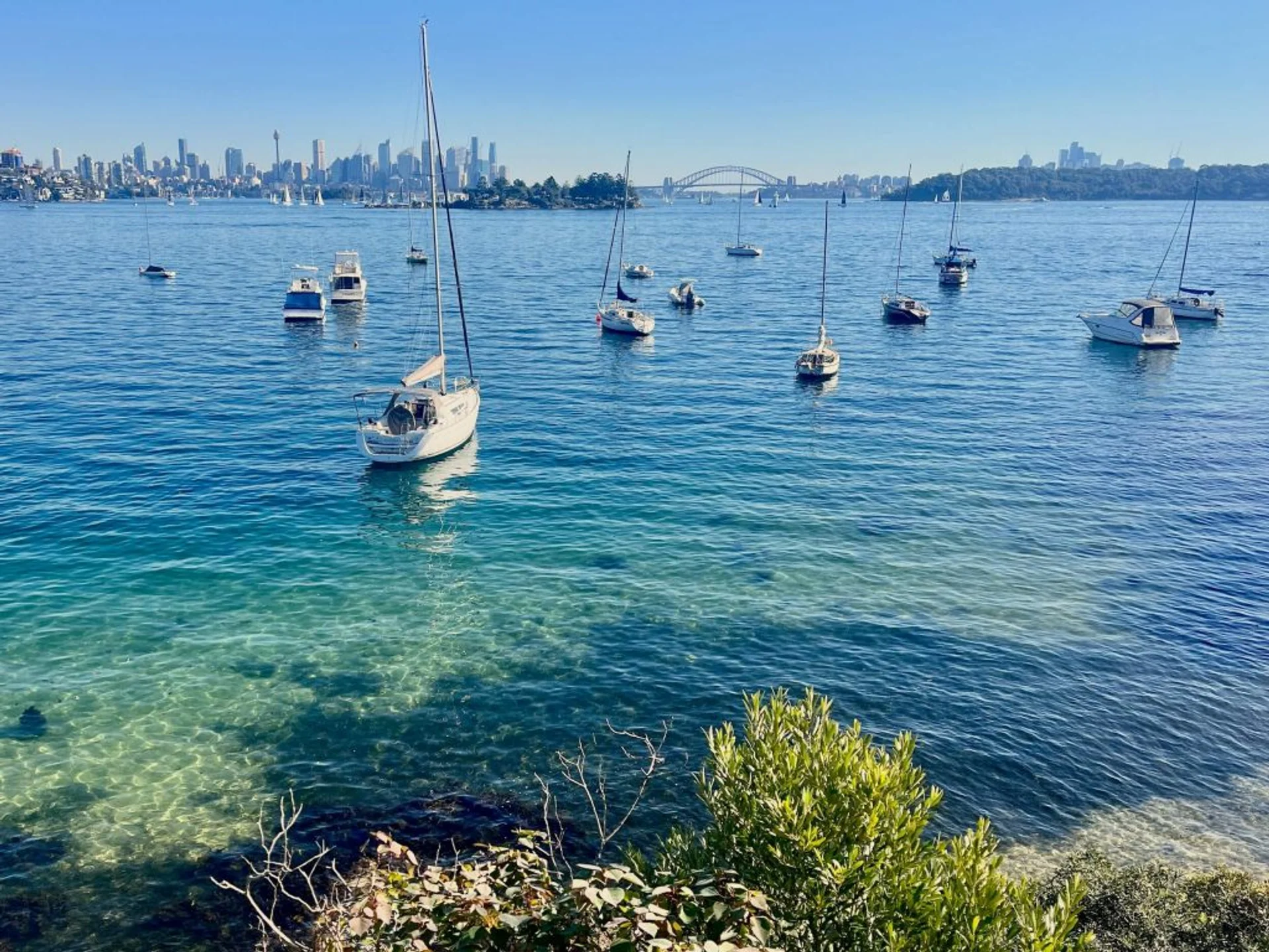 Hermitage Foreshore Walk