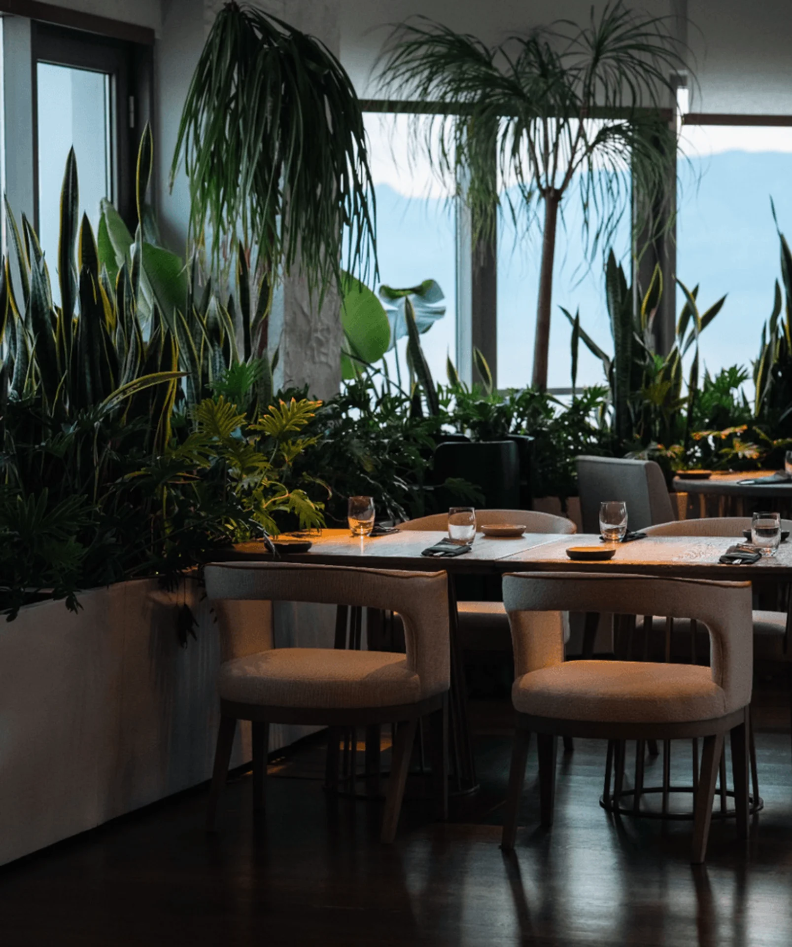 Asmani Restaurant