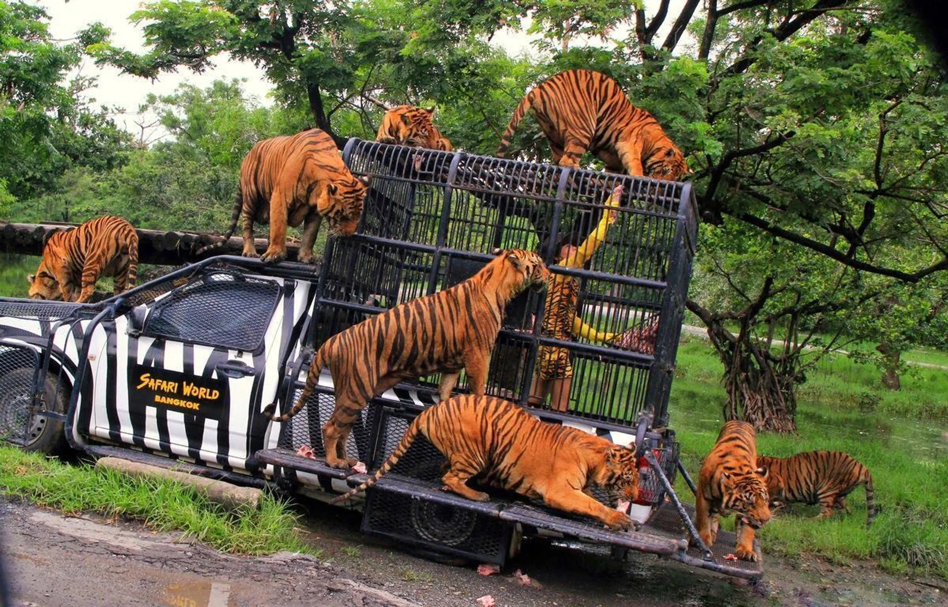 Safari World