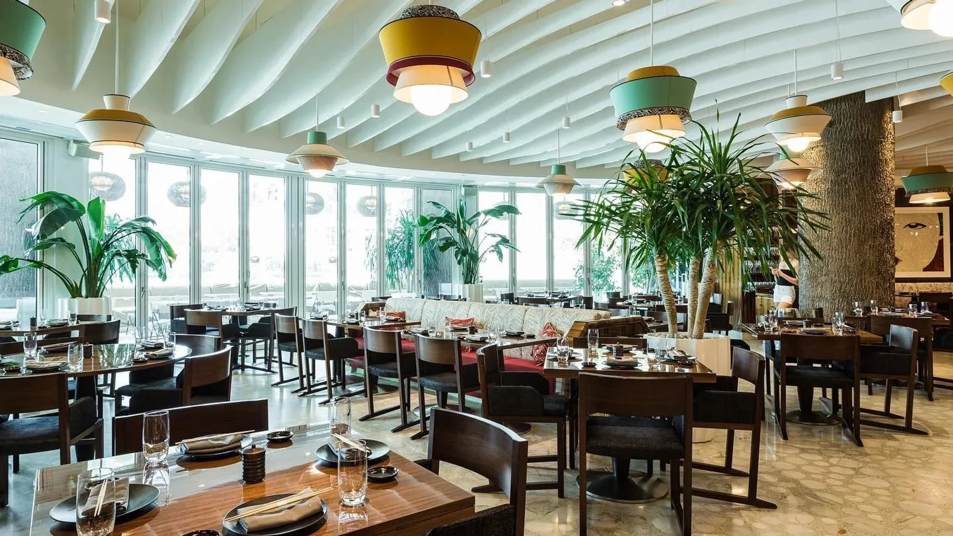 Novikov Miami