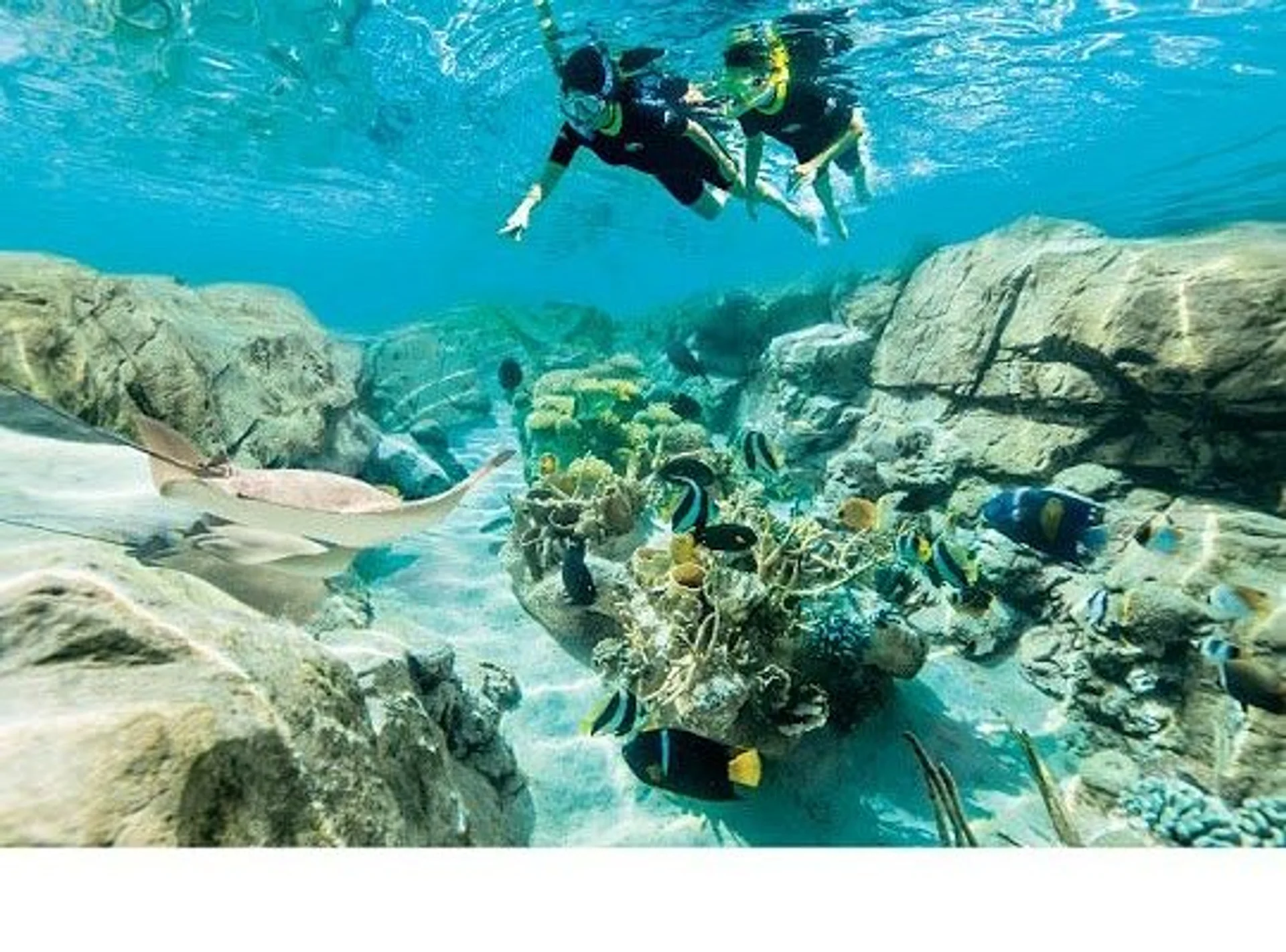 Discovery Cove