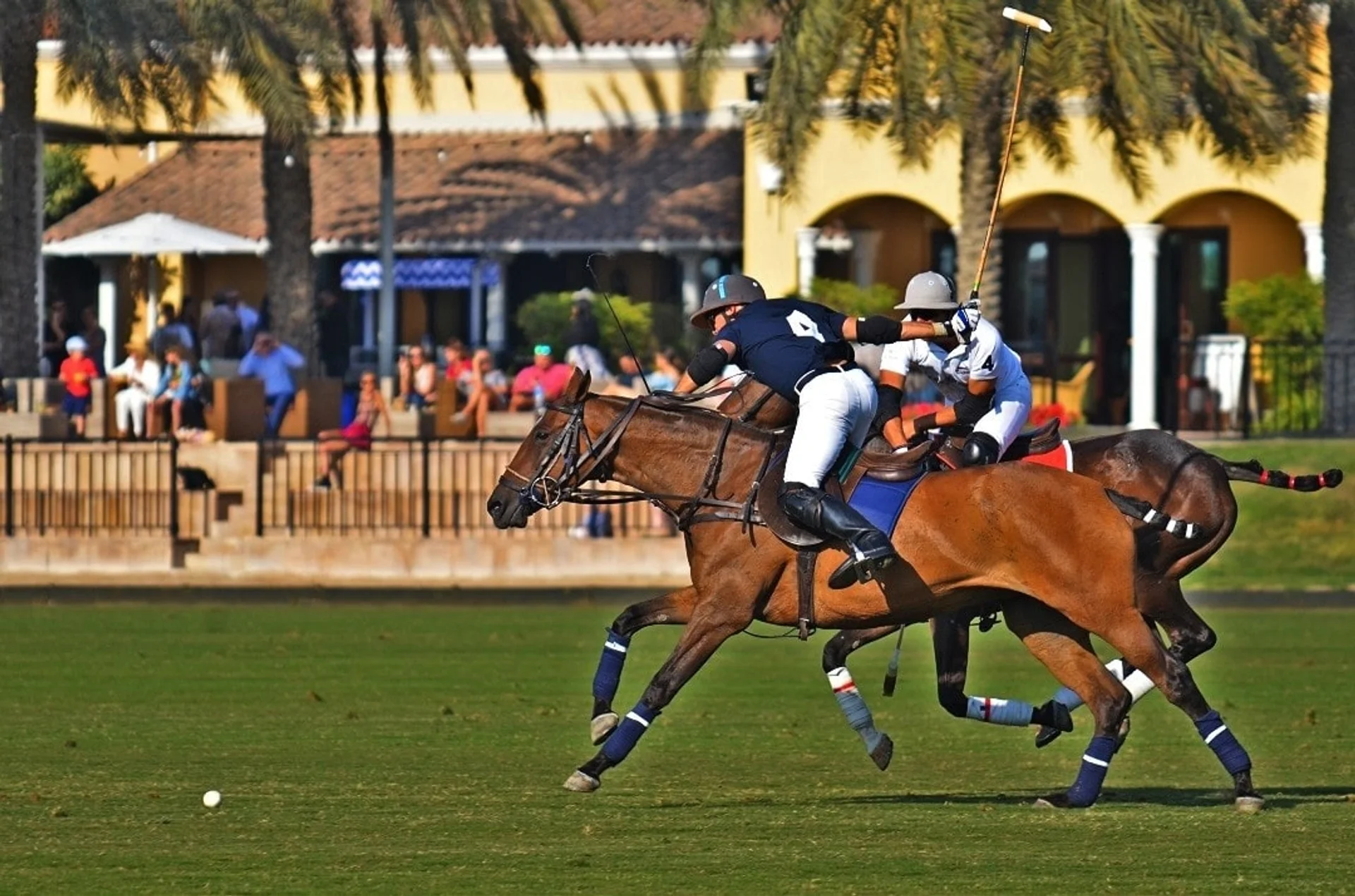Dubai Polo & Equestrian Club