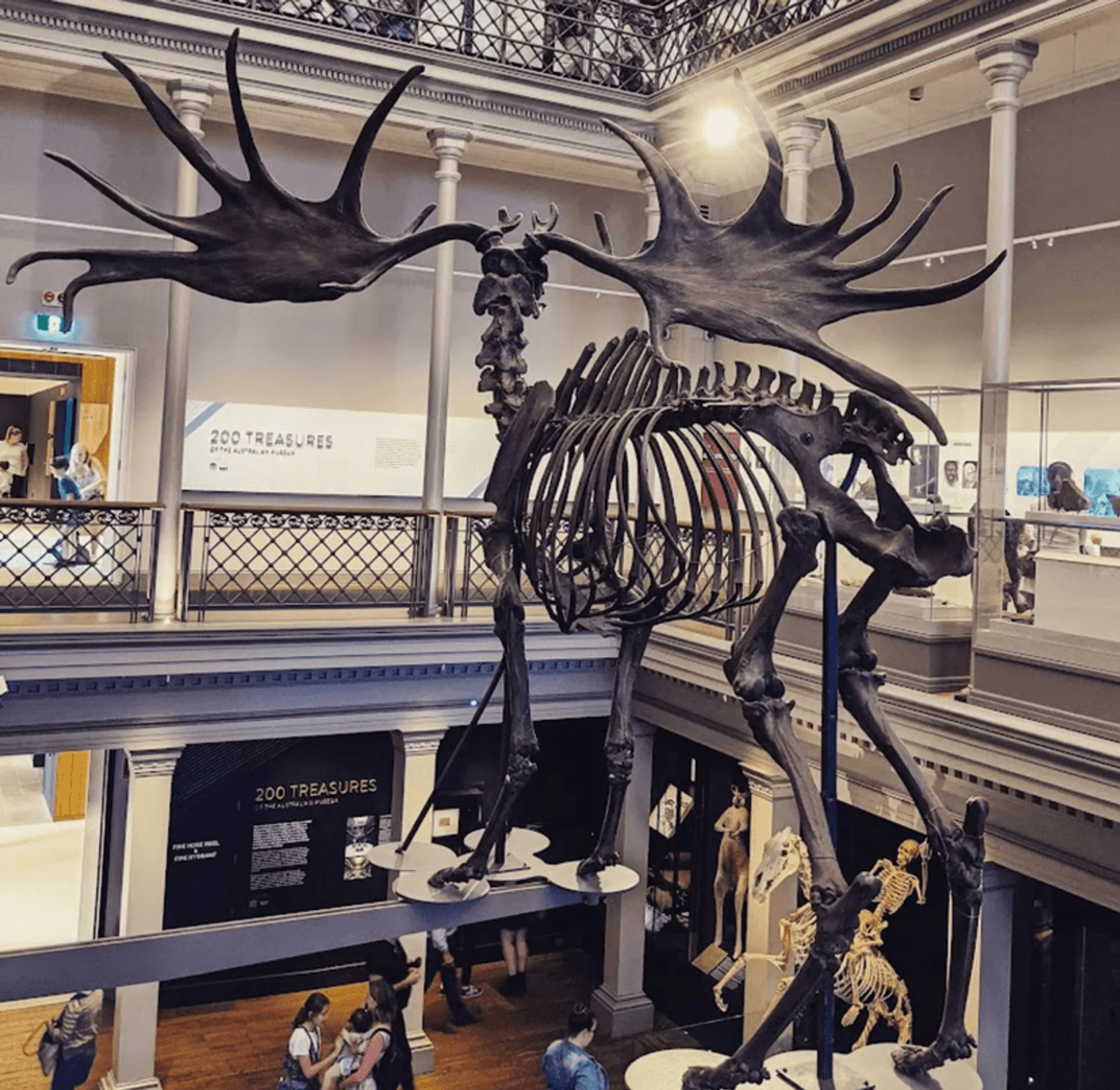 Australian Museum