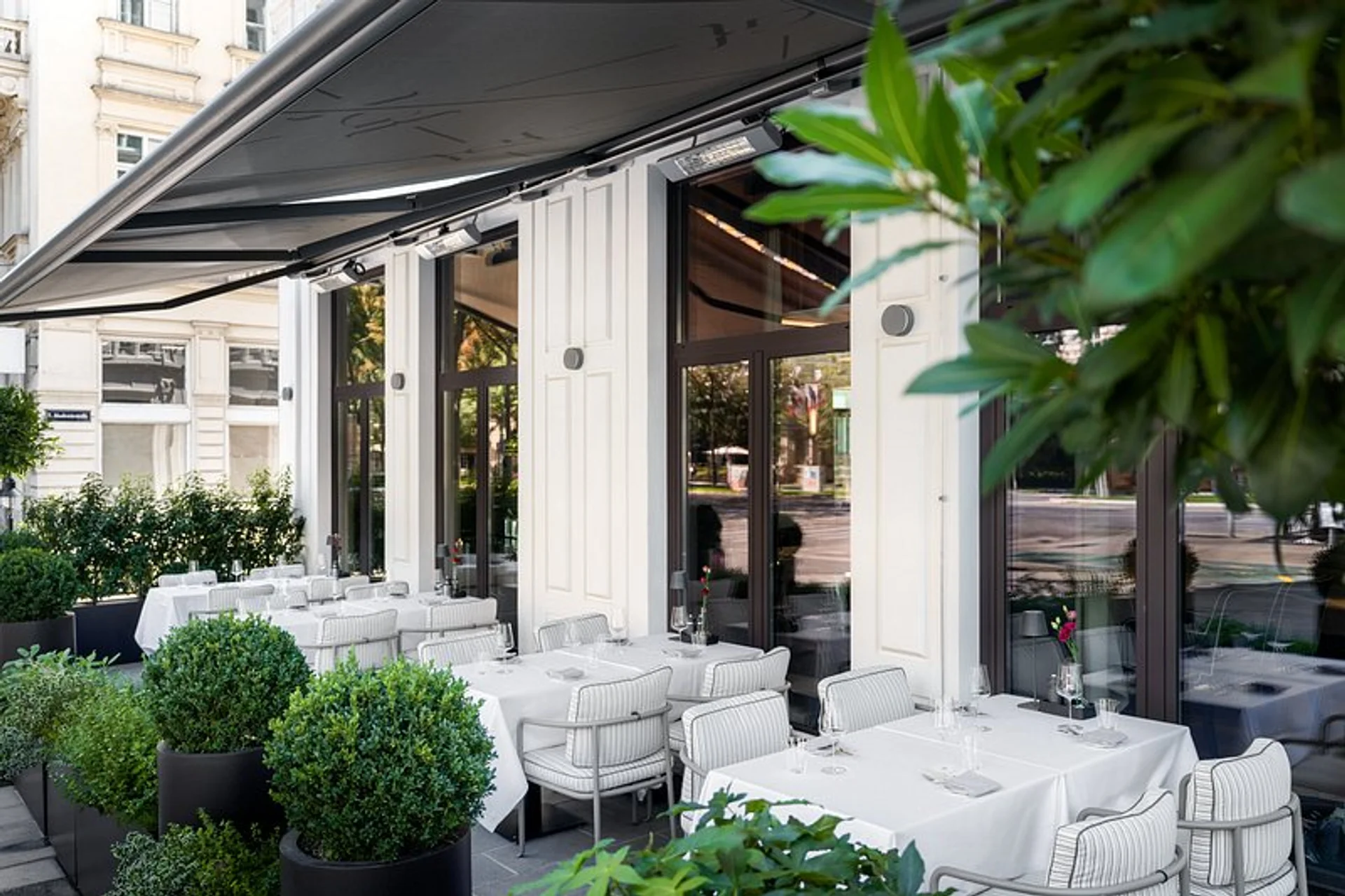 Glasswing Bar & Bistro