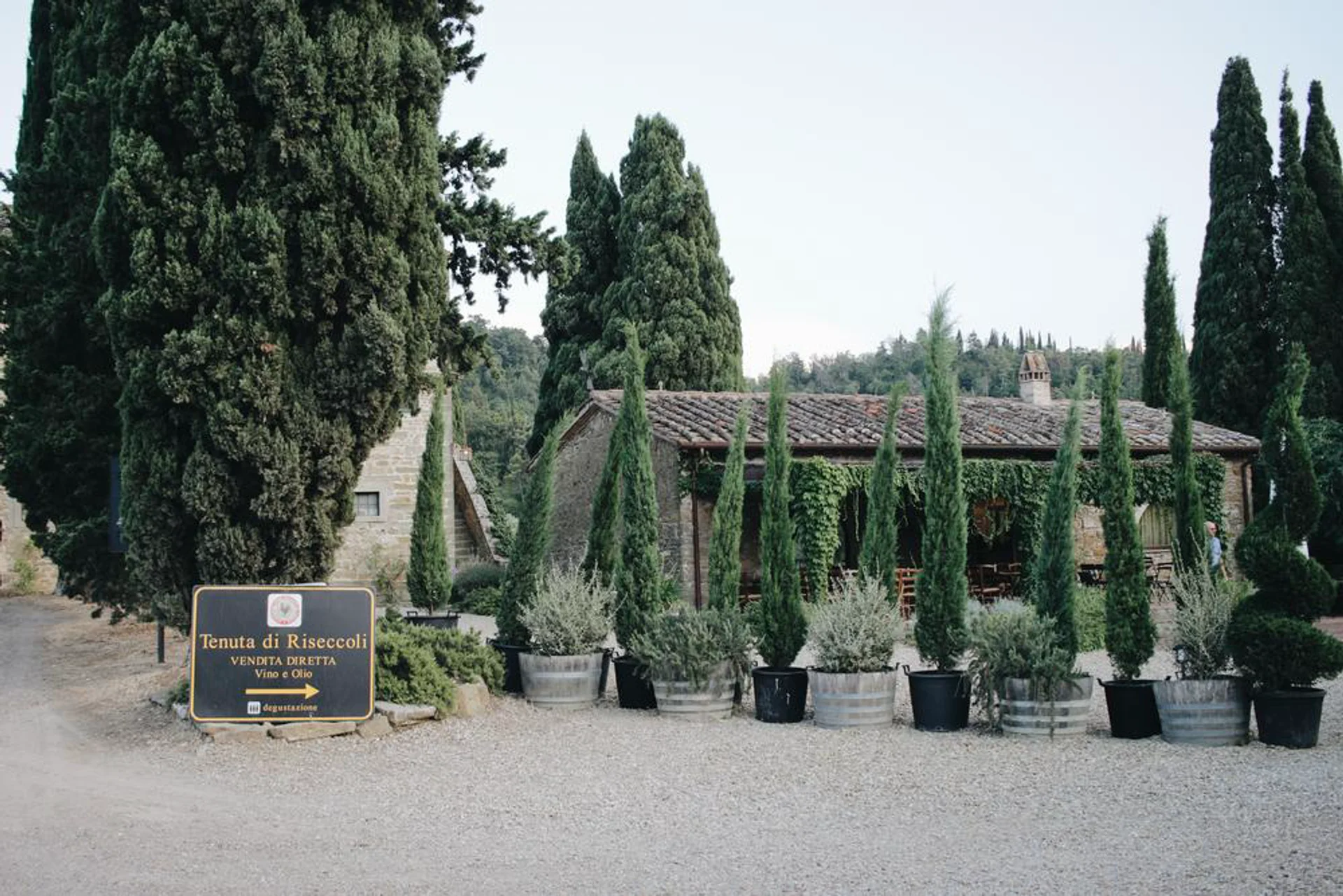 Tenuta Riseccoli