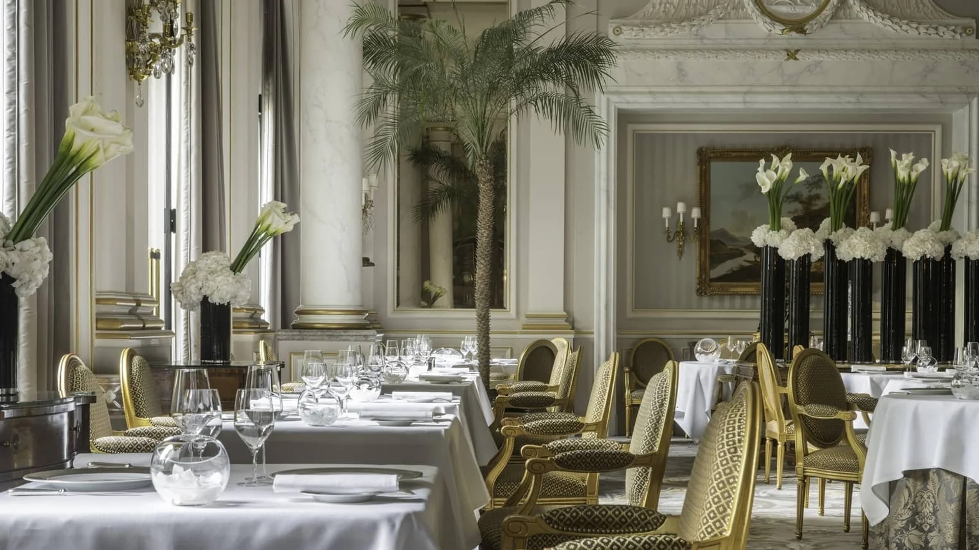 Le Cinq