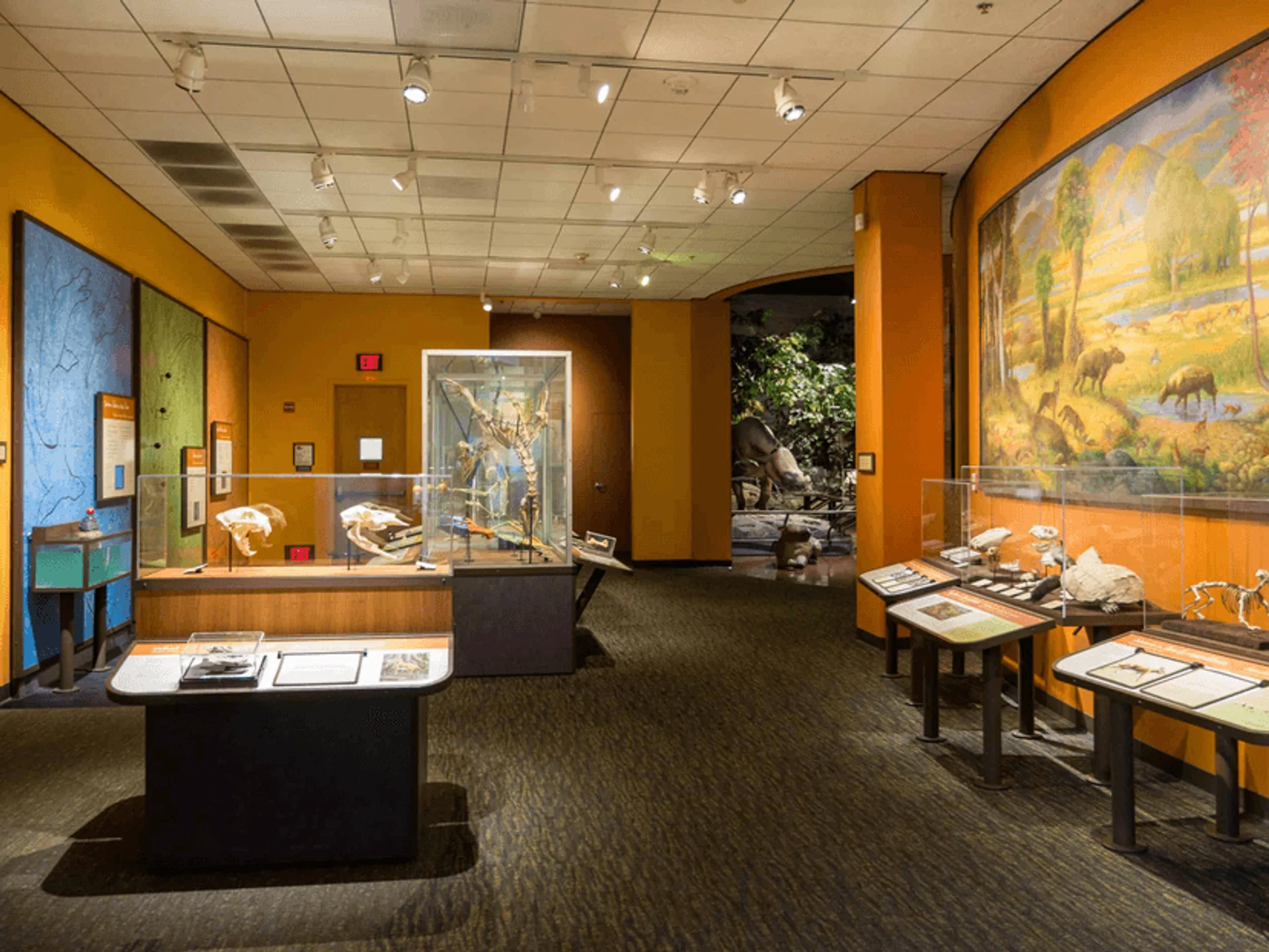 San Diego Natural History Museum