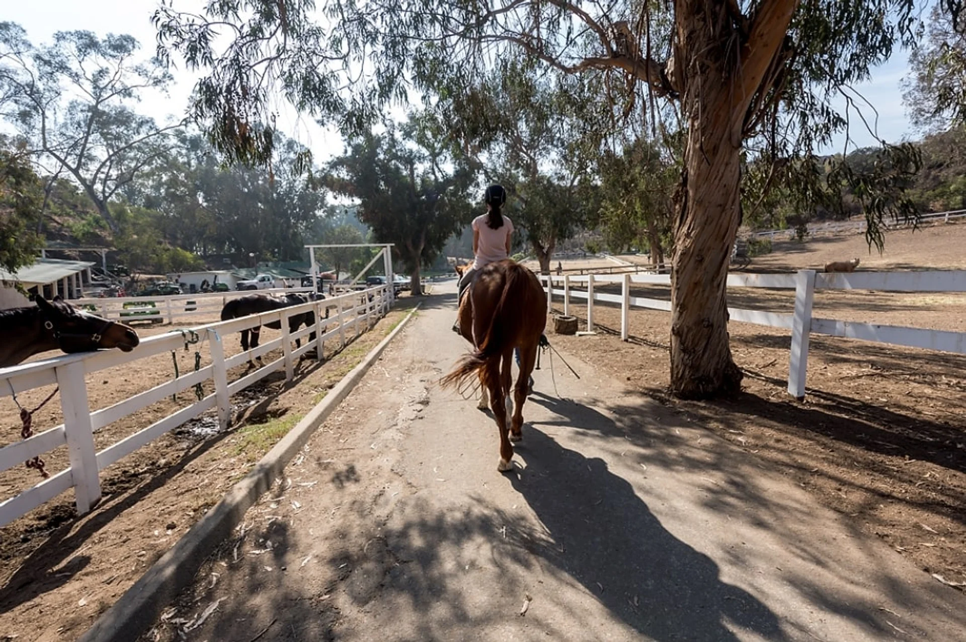 Will Rogers State Historic Park