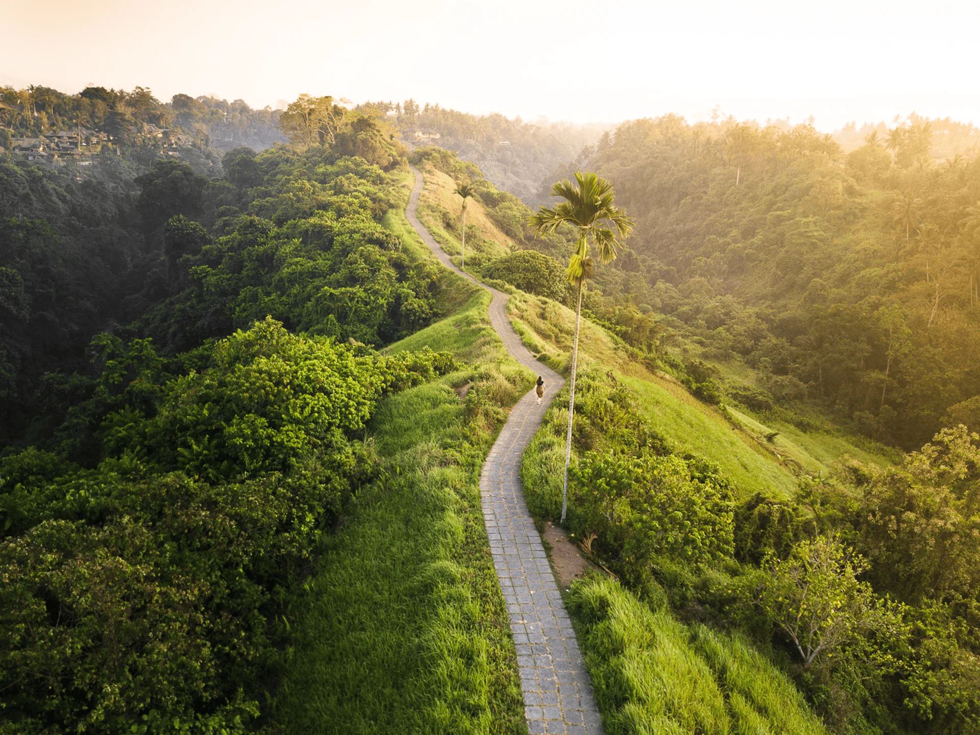 Campuhan Ridge Walk