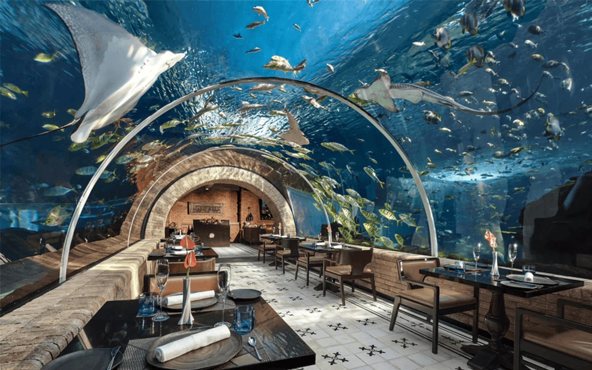 Koral Restaurant (The Apurva Kempinski)