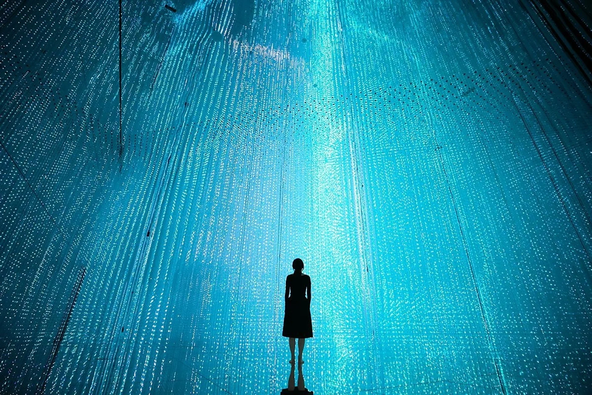teamLab Planets TOKYO